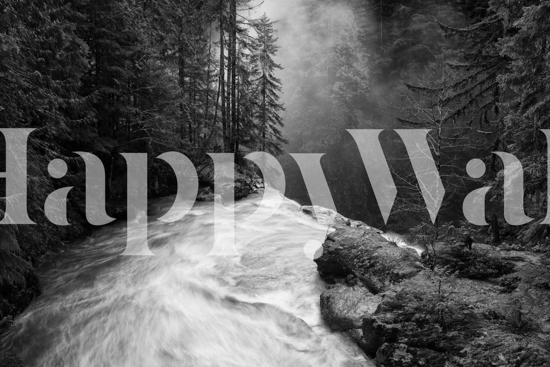 Black and white wall mural of a waterfall surrounded by forest