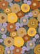 Bold Poppy Flowers