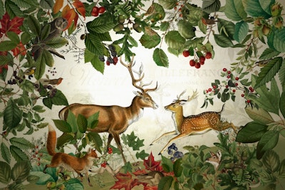 Mural