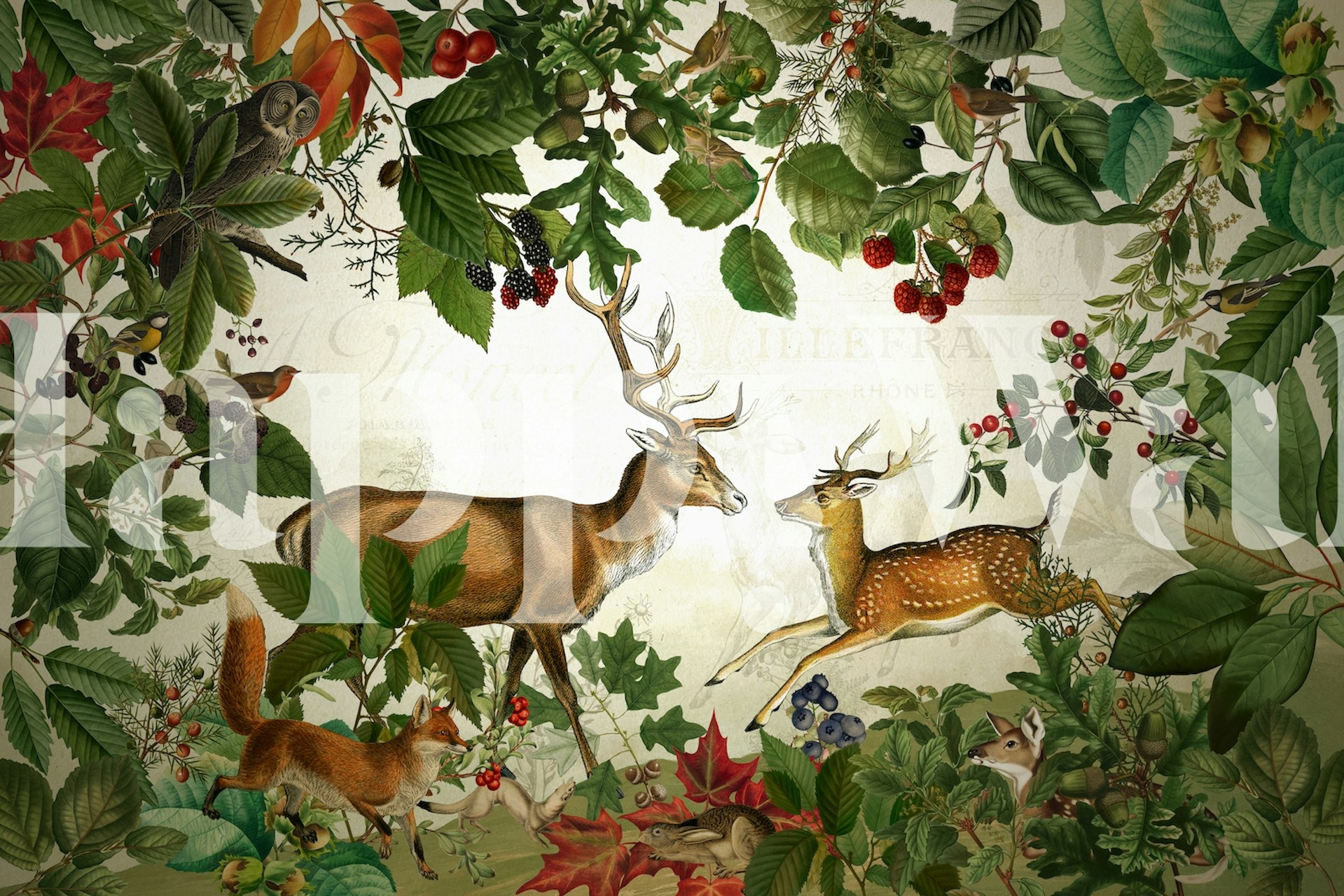 Nostalgic Autumn tapet med skovdyr.