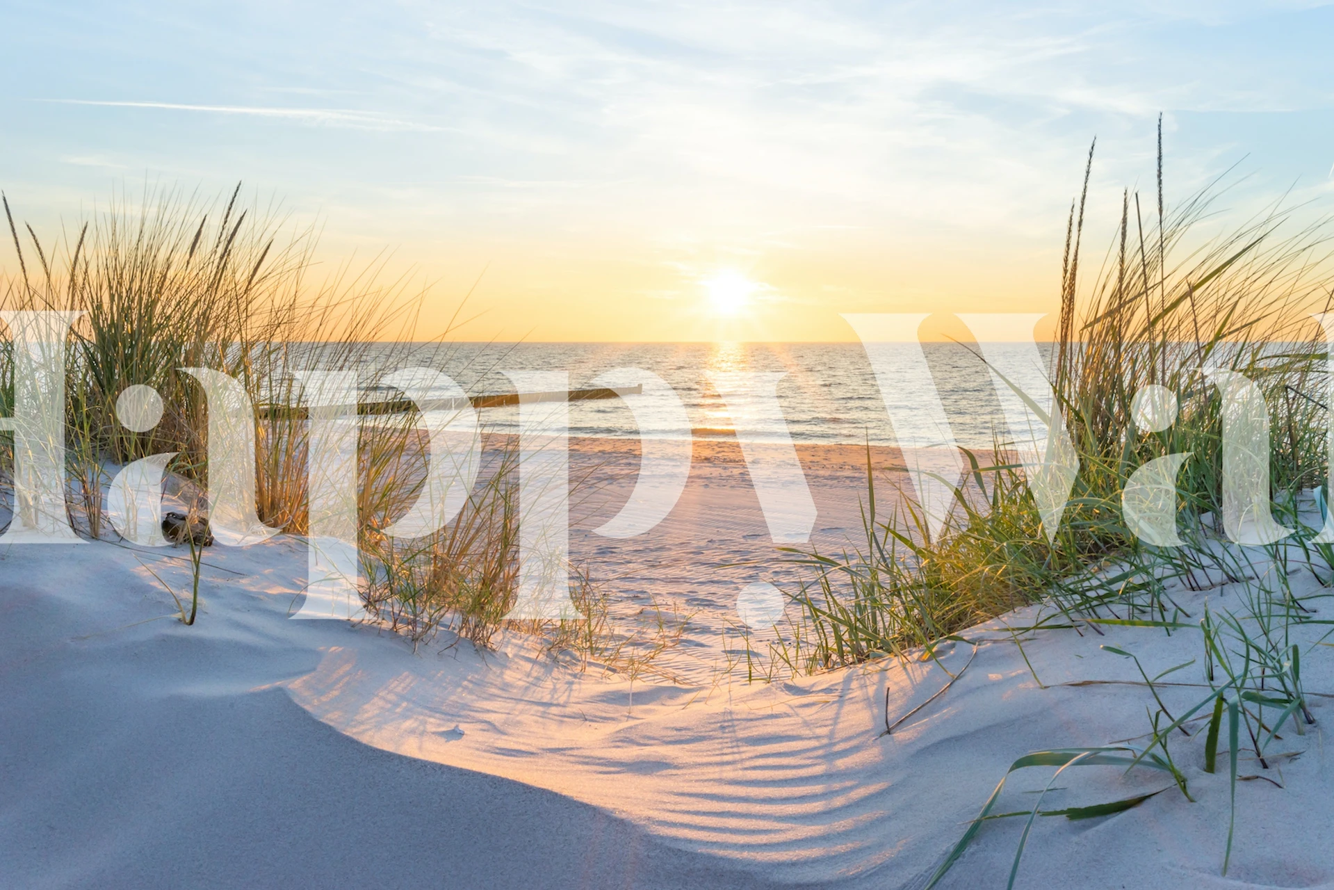 Coastal sunset wall mural with beach and grasses