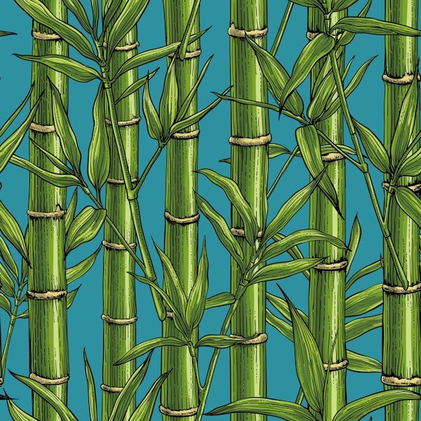 Bamboo forest on blue