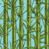 Bamboo forest on light blue ταπετσαρία
