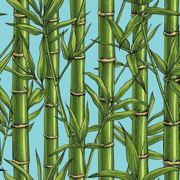 Bamboo forest on light blue