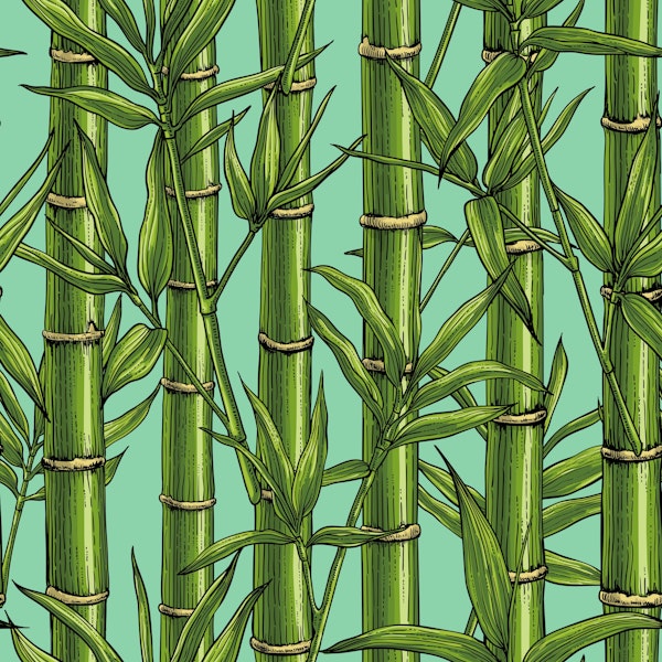 Bamboo forest on jade green