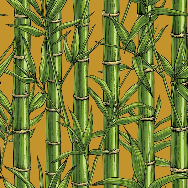 Bamboo forest on mustard