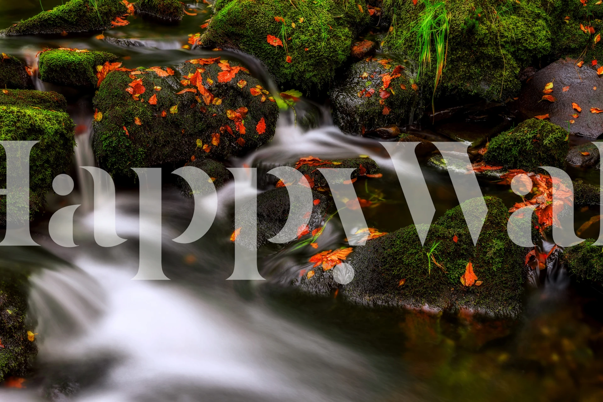 Höstlig skogsbäck med forsande vatten och livfulla löv fototapet