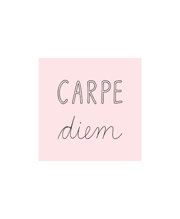 Carpe Diem memo soft pink