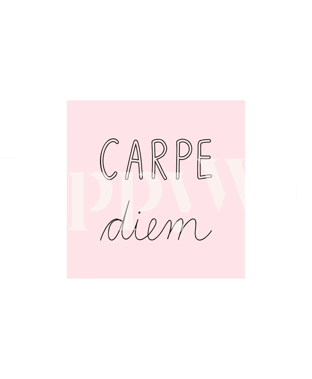 Soft pink background with 'Carpe Diem' text in black lines wallpaper