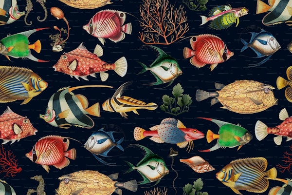 Oceania A Deep Dive into Navy Blue Secrets