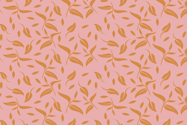 Light pink and Orange Garden