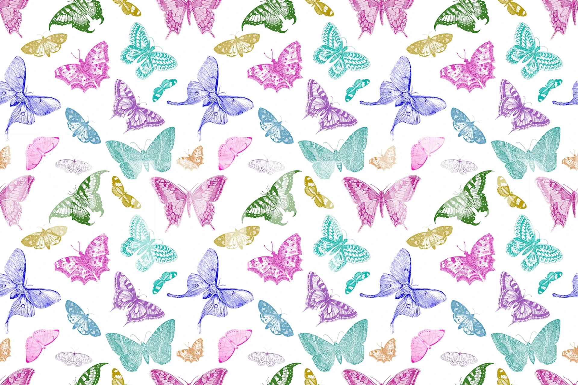 Vintage Butterflies 1 tapet i et rum