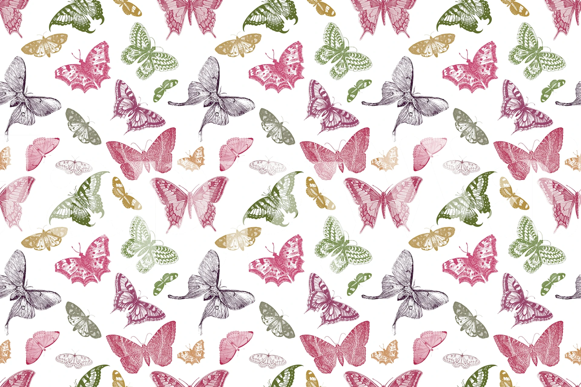Colorful vintage butterfly wallpaper featuring pink, green, and yellow butterflies on a white background.