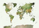 World Map in Green