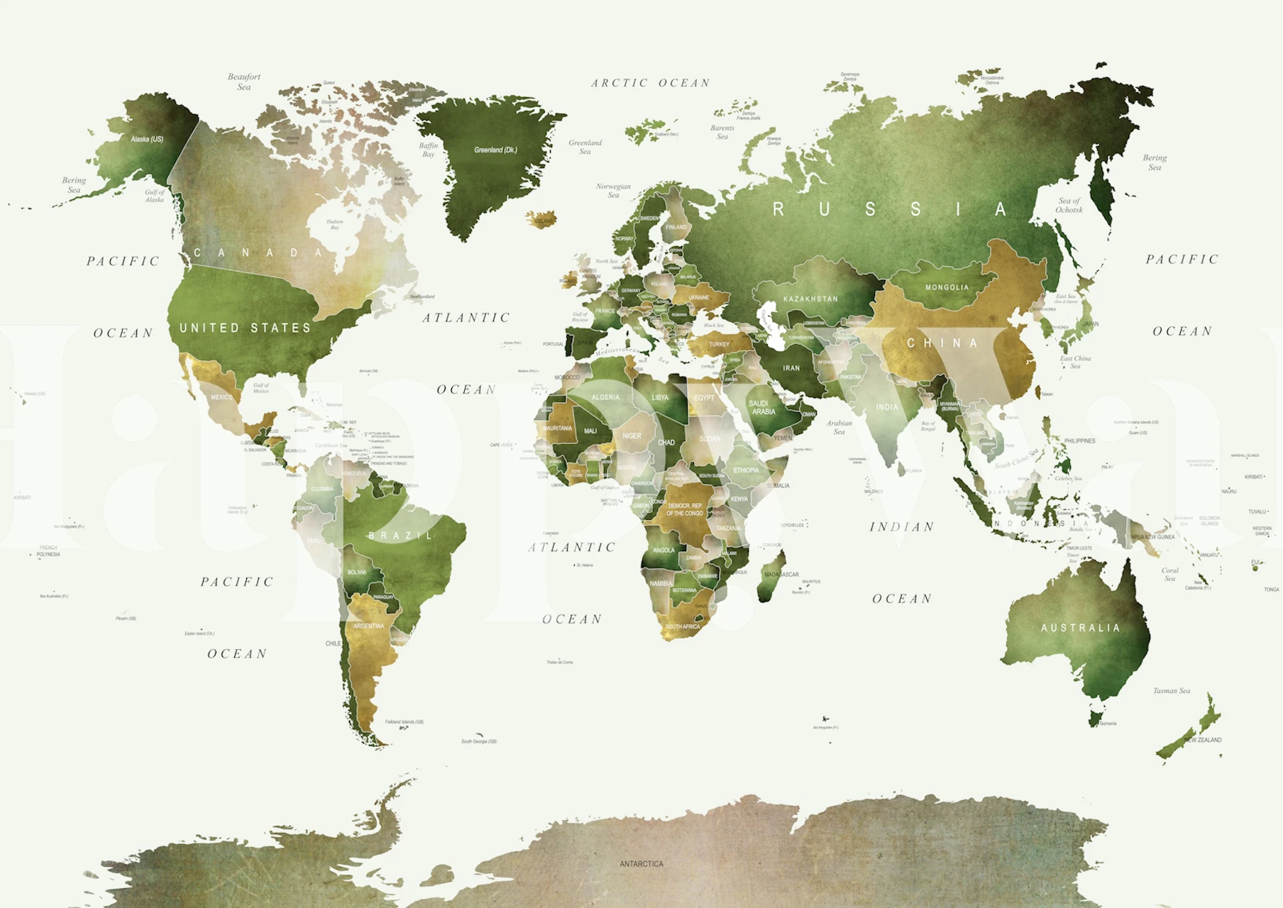 World map in green wallpaper displayed in a room