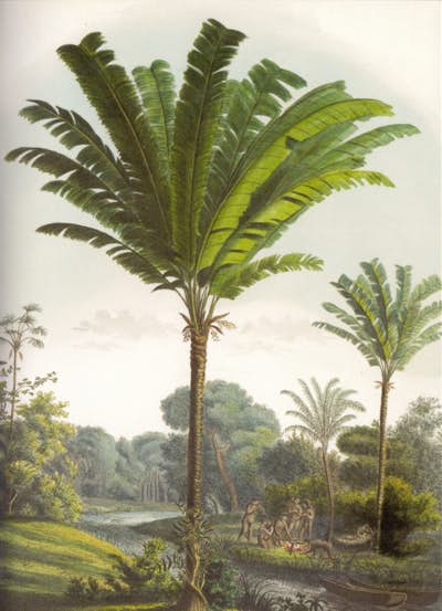 Τοιχογραφία