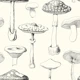 Black Mushrooms Pattern