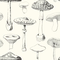Black Mushrooms Pattern tapete