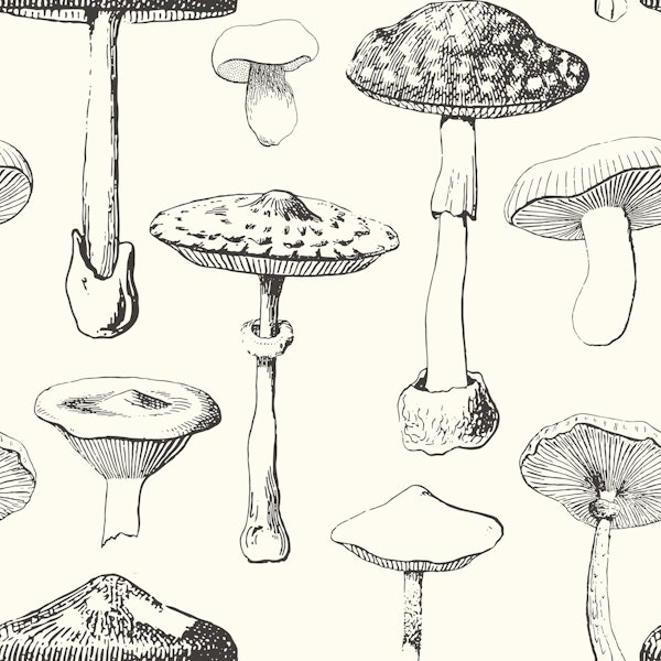 Black Mushrooms Pattern