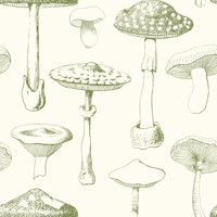 Green Mushrooms Pattern tapete