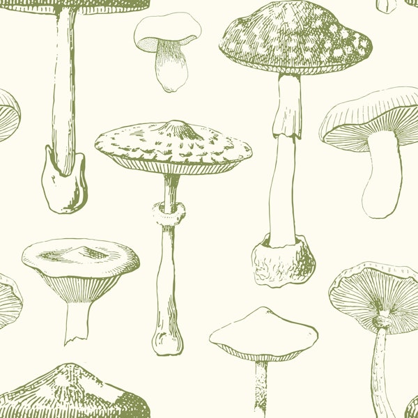 Green Botanical Fungi