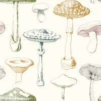 Colorful Mushrooms Pattern papiers peint
