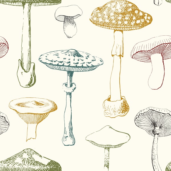 Colorful Mushrooms Pattern