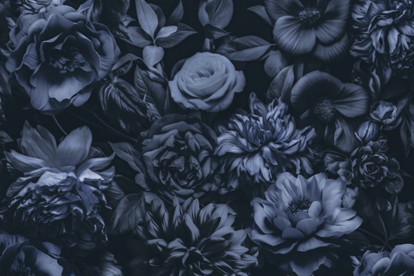 Opulent Baroque Moody Florals Midnight Blue