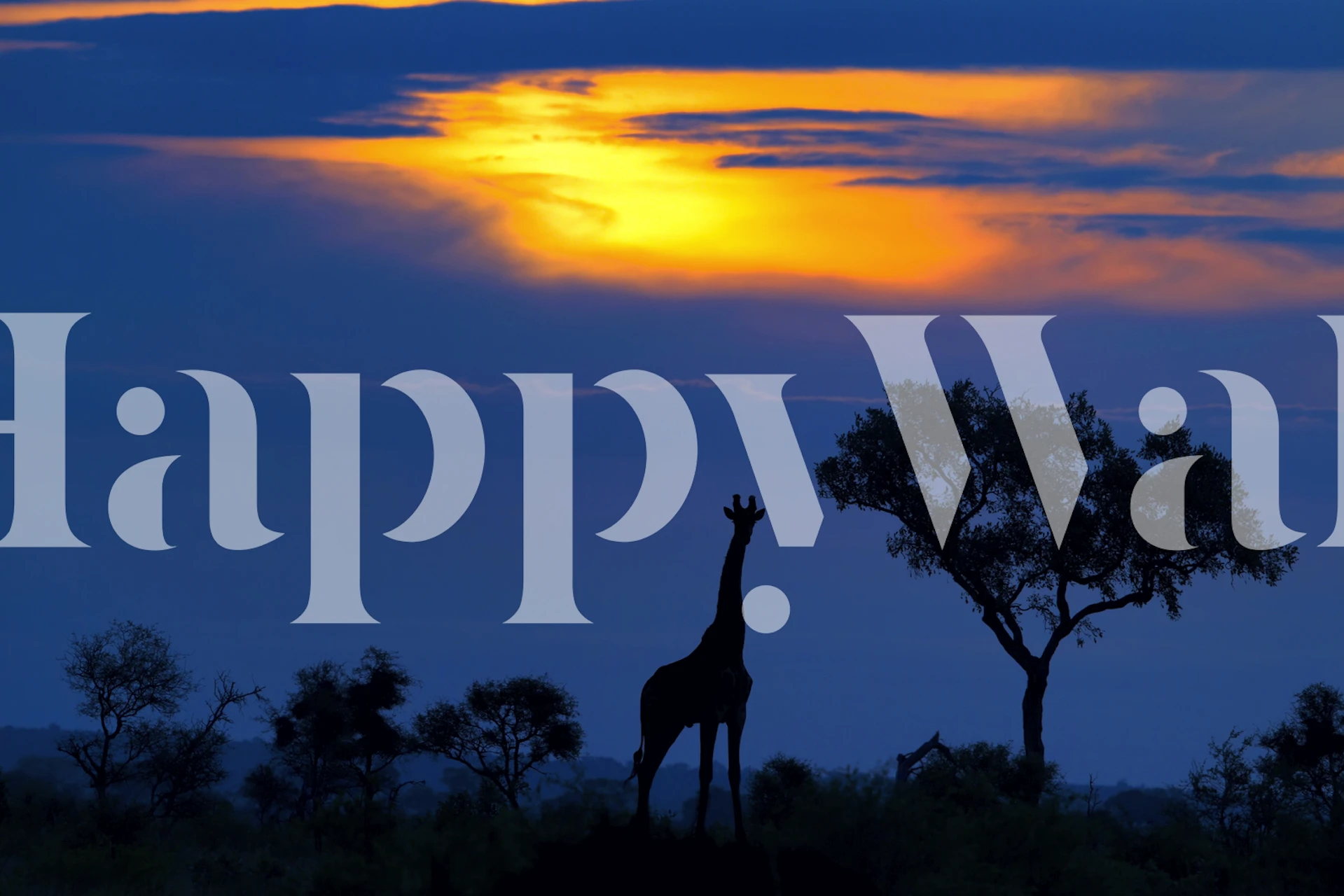 Papier peint mural Silhouette de girafe sur fond de ciel au coucher du soleil vibrant