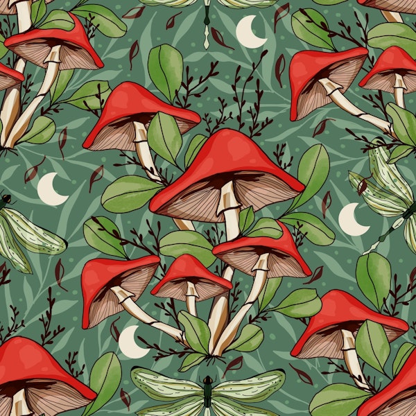 Magical Mushroom and Moon