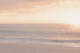 SUNSET BIRDIES AT THE BEACH 2