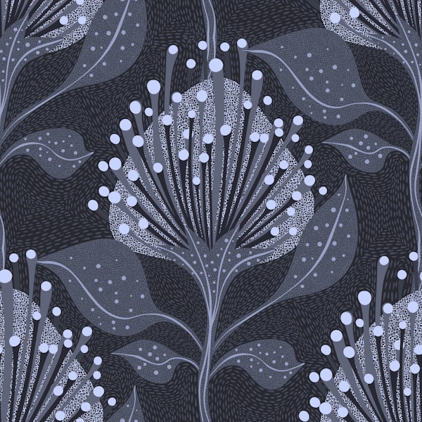 Pincushion Protea Midnight