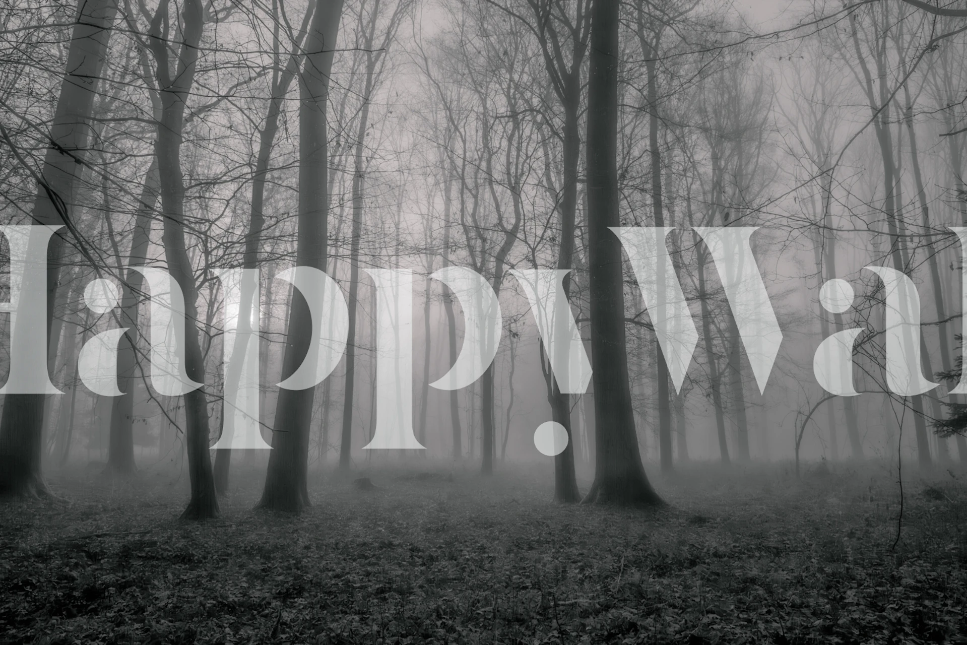 Monochrome Forest Whispers In Een Kamer