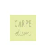 Carpe Diem memo light green
