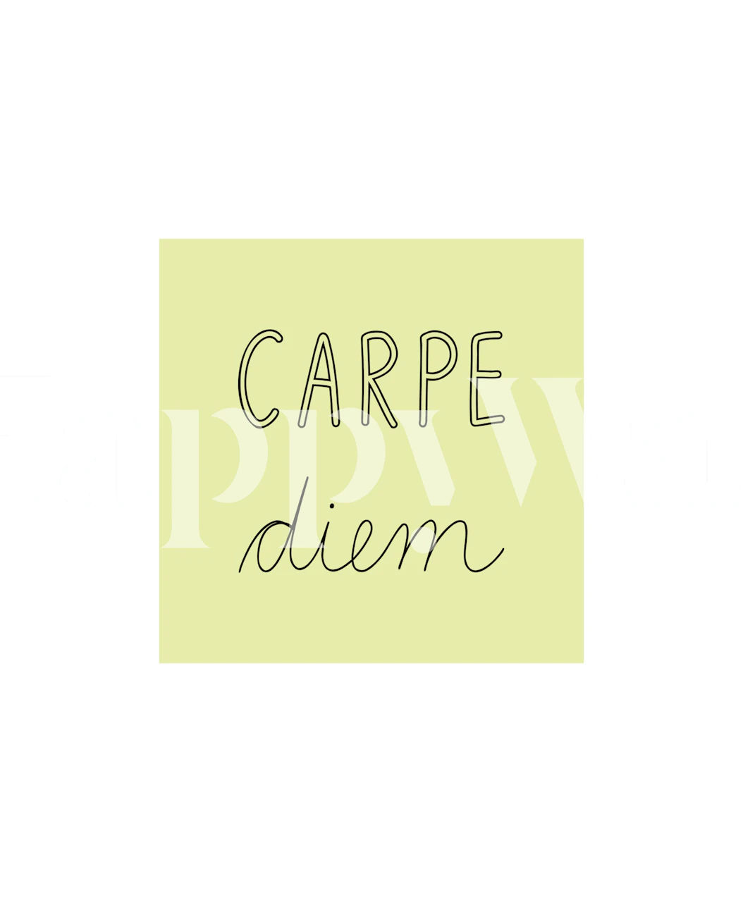 Carpe Diem memo light green wallpaper in a room