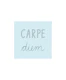 Carpe Diem memo light blue