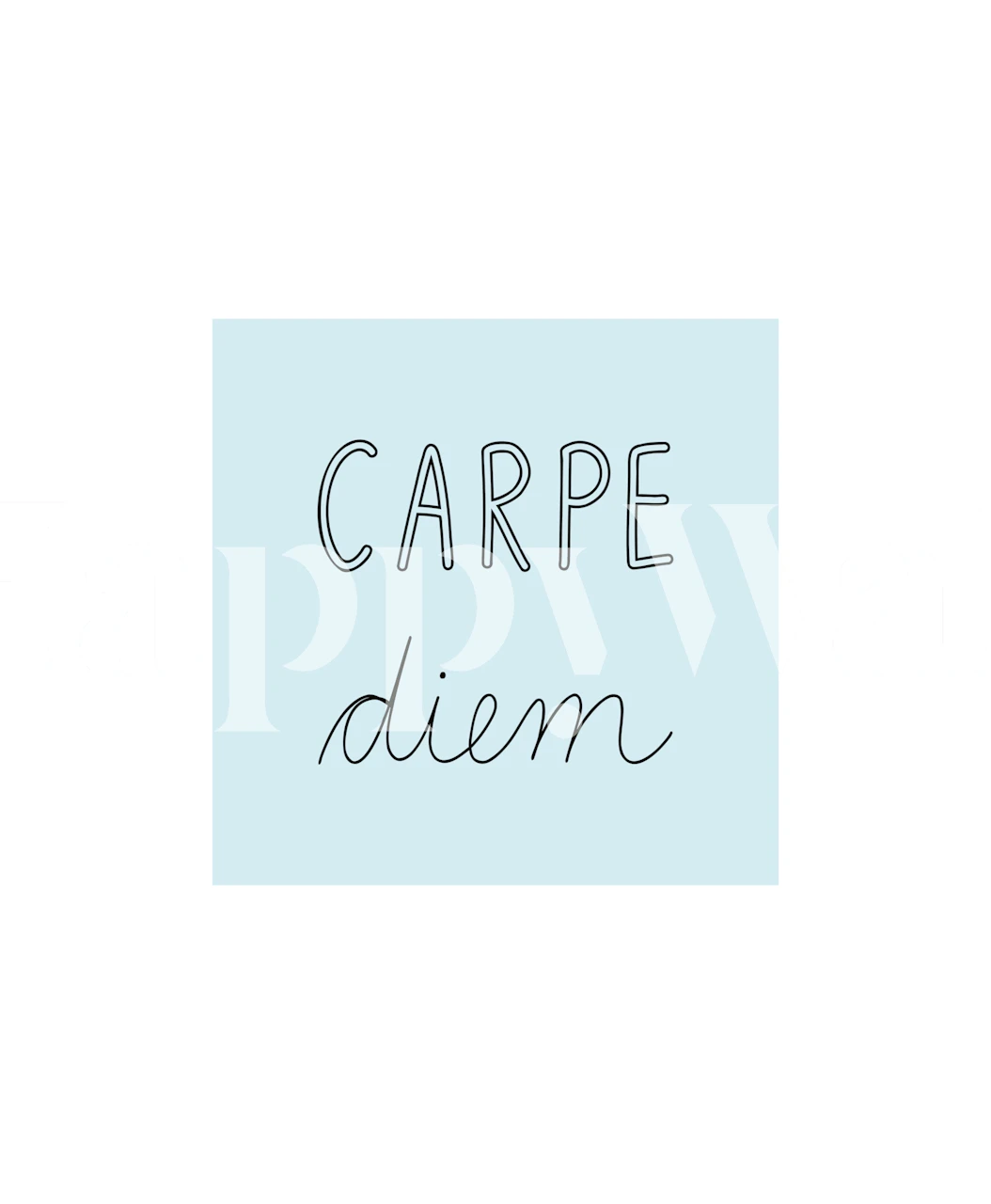 Light blue wallpaper with handwritten 'Carpe Diem' text