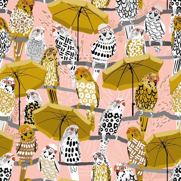 budgie on vacation blush pink