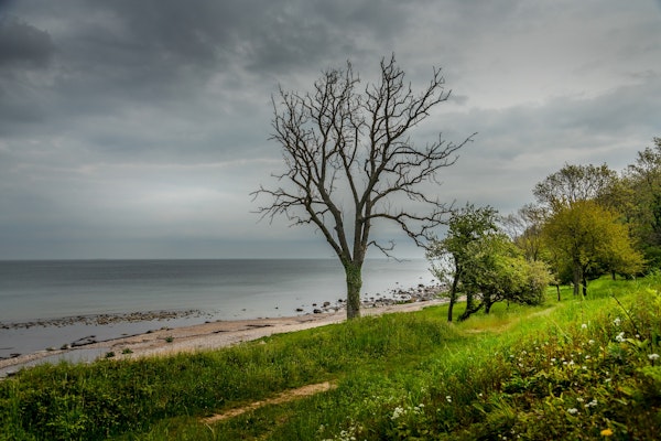 Bornholm Beach Moment