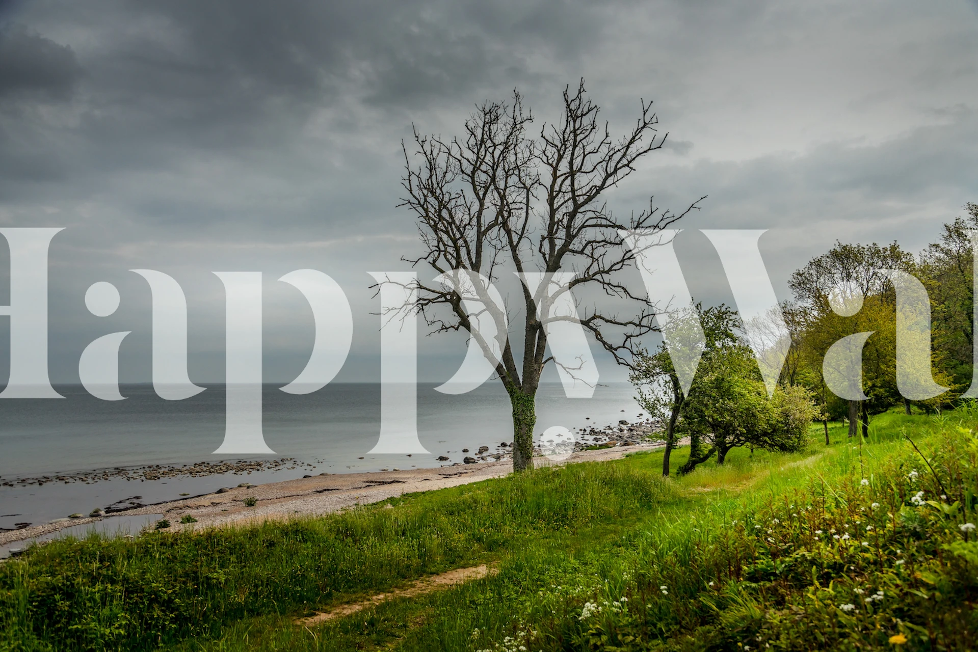 Bornholm Beach Moment Tapetdesign