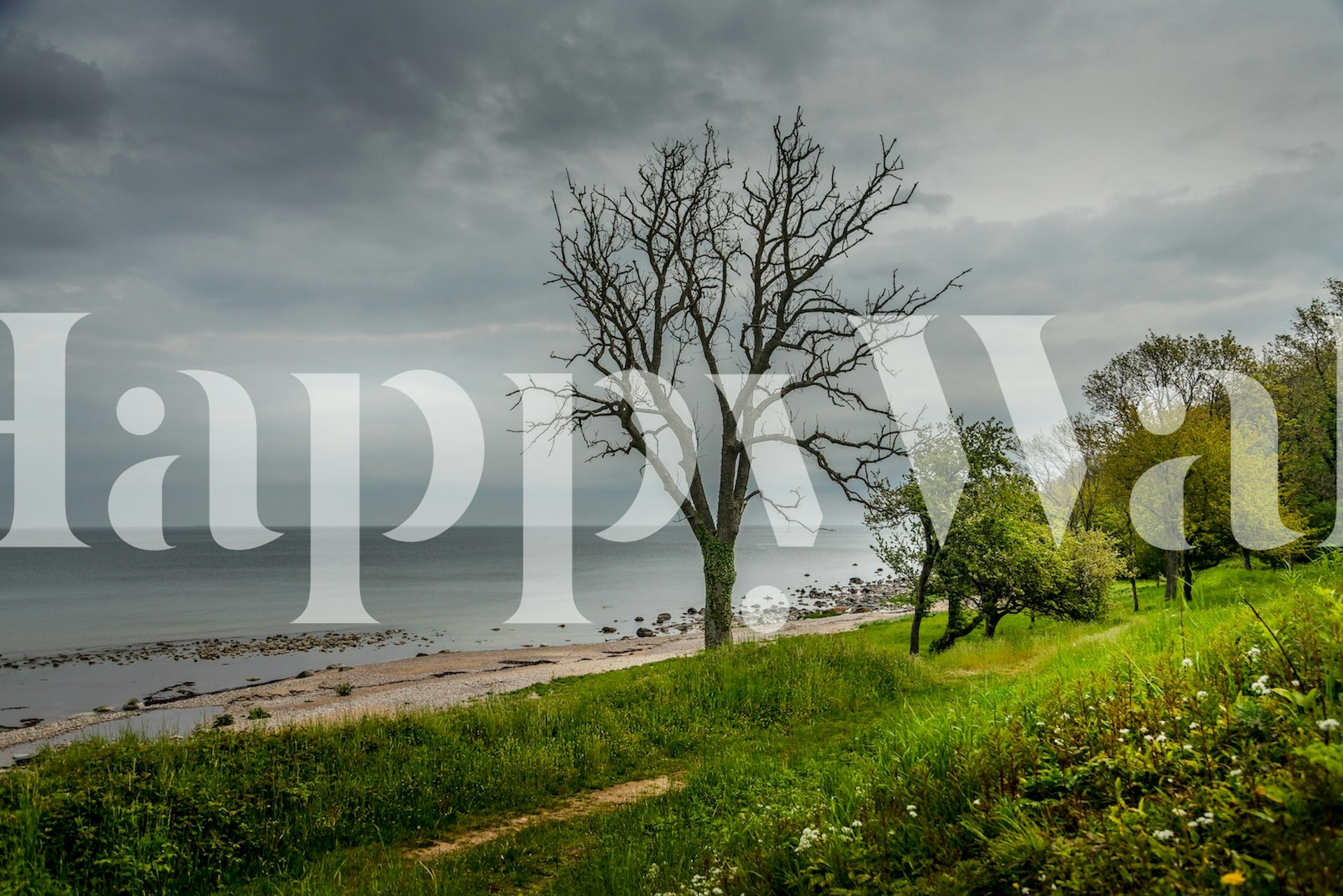 Scenic beach view with tree and sea wallpaper