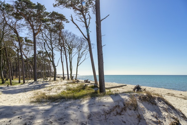 Baltic Sea Sunny Day At The Beach