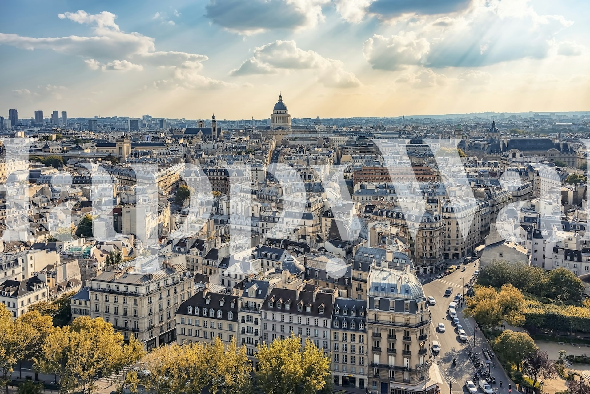 Sunny Paris wallpaper in a room setting