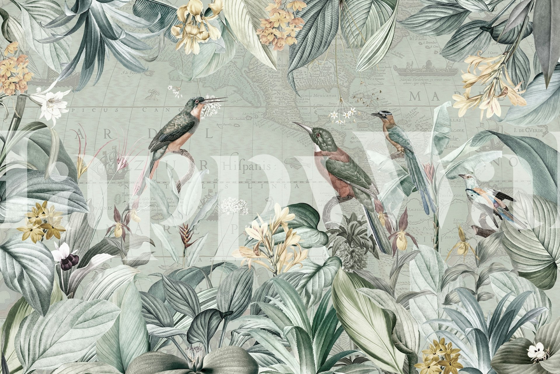 Vintage exotic birds wallpaper in a room