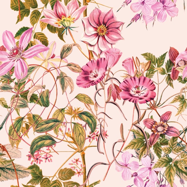 Vintage Pink Flowers