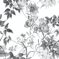 Elegant Black White Botanicals tapeta
