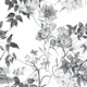 Elegant Black White Botanicals