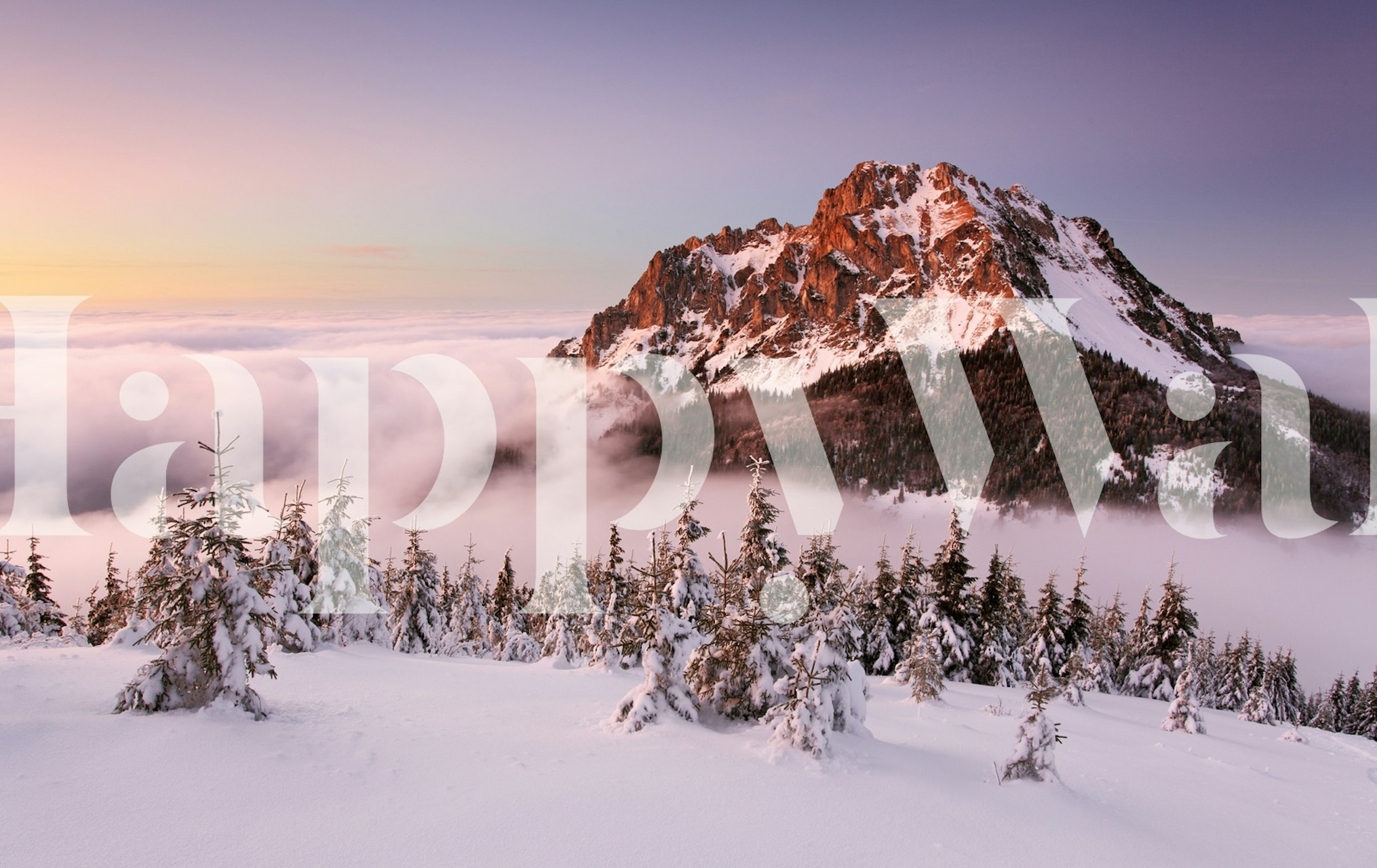 Rozsutec Peak wallpaper in a living room