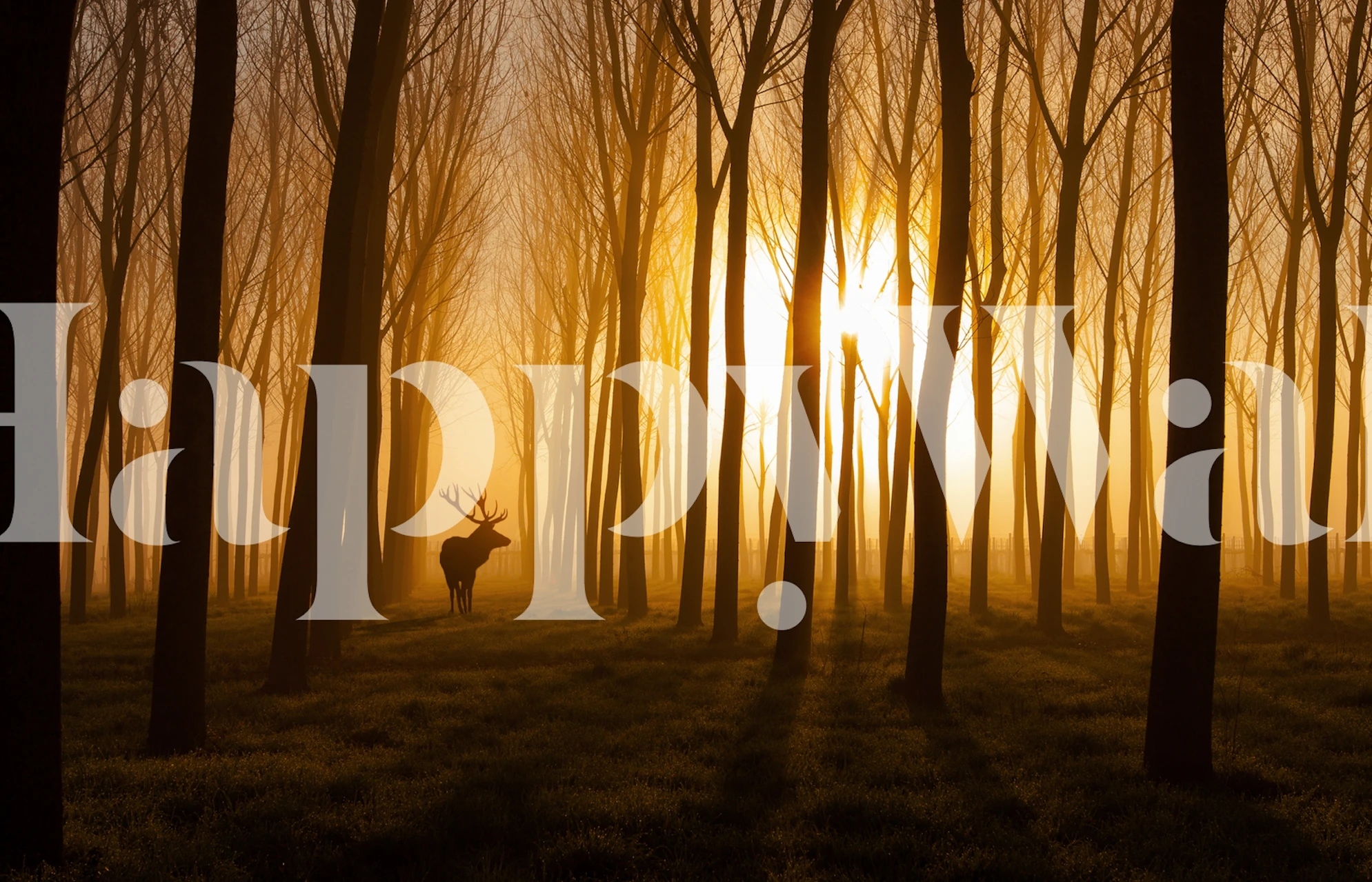 Once Upon a Time tapet i et rom