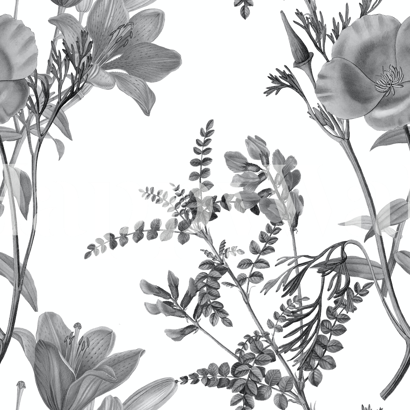 Black and White Floral Pattern Wallpaper | Shop Now at Happywall